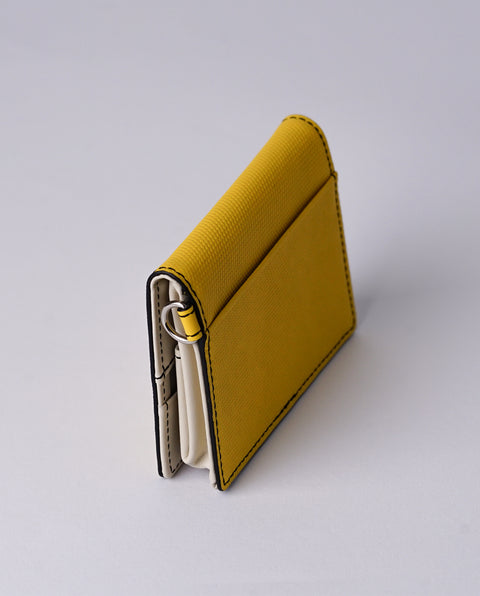 INW20 Yellow Coin Case