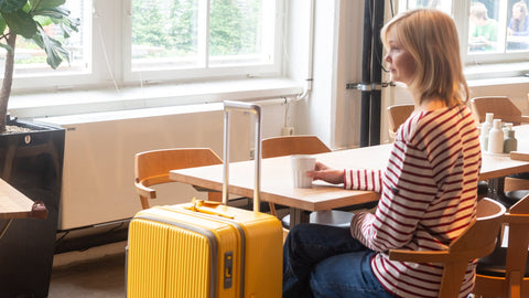 INV650DOR（75 liter）